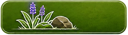 Landscaping Services in Denton TX